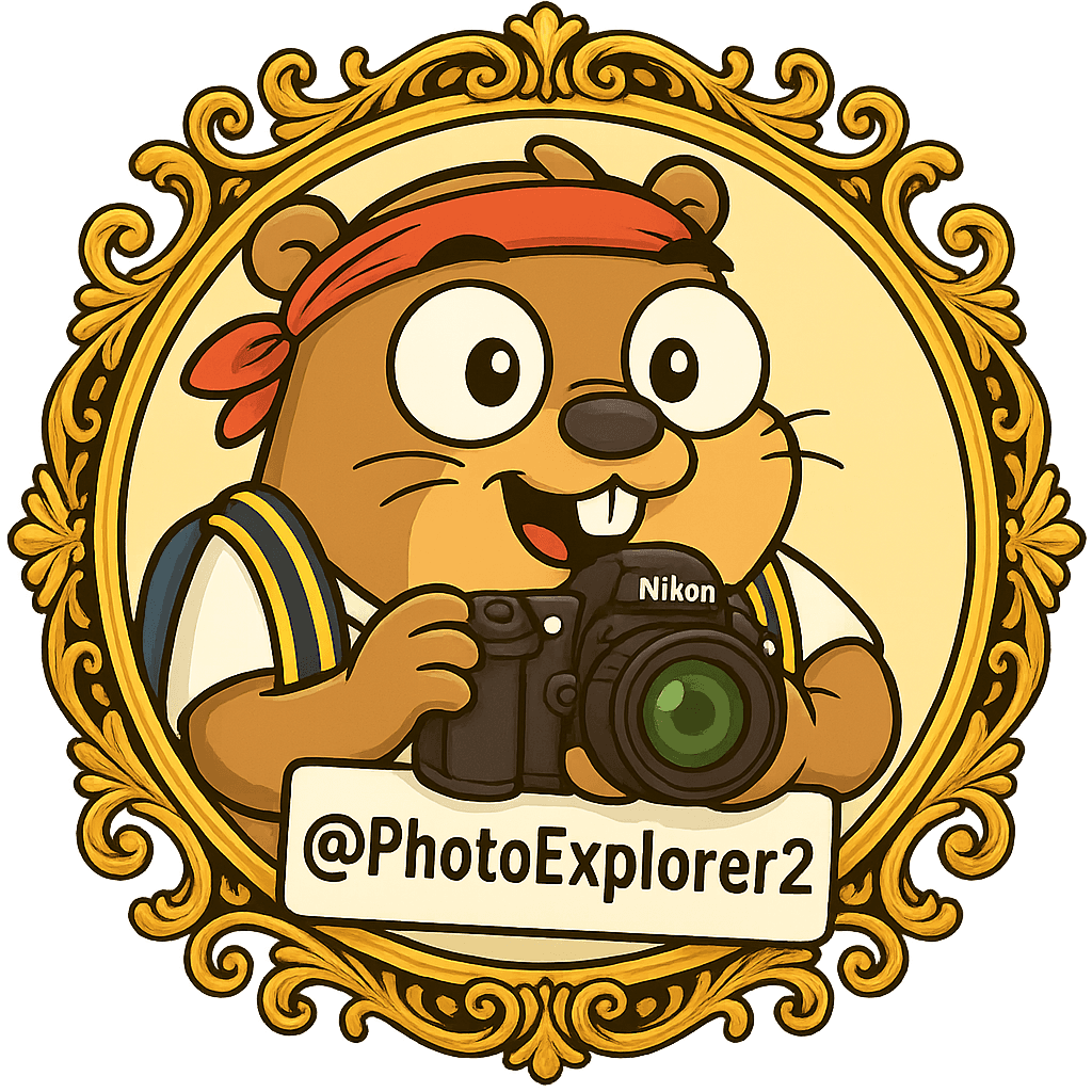 PhotoExplorer2 avatar